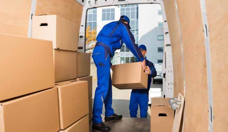 Mex Cargo Packers And Movers Service Images